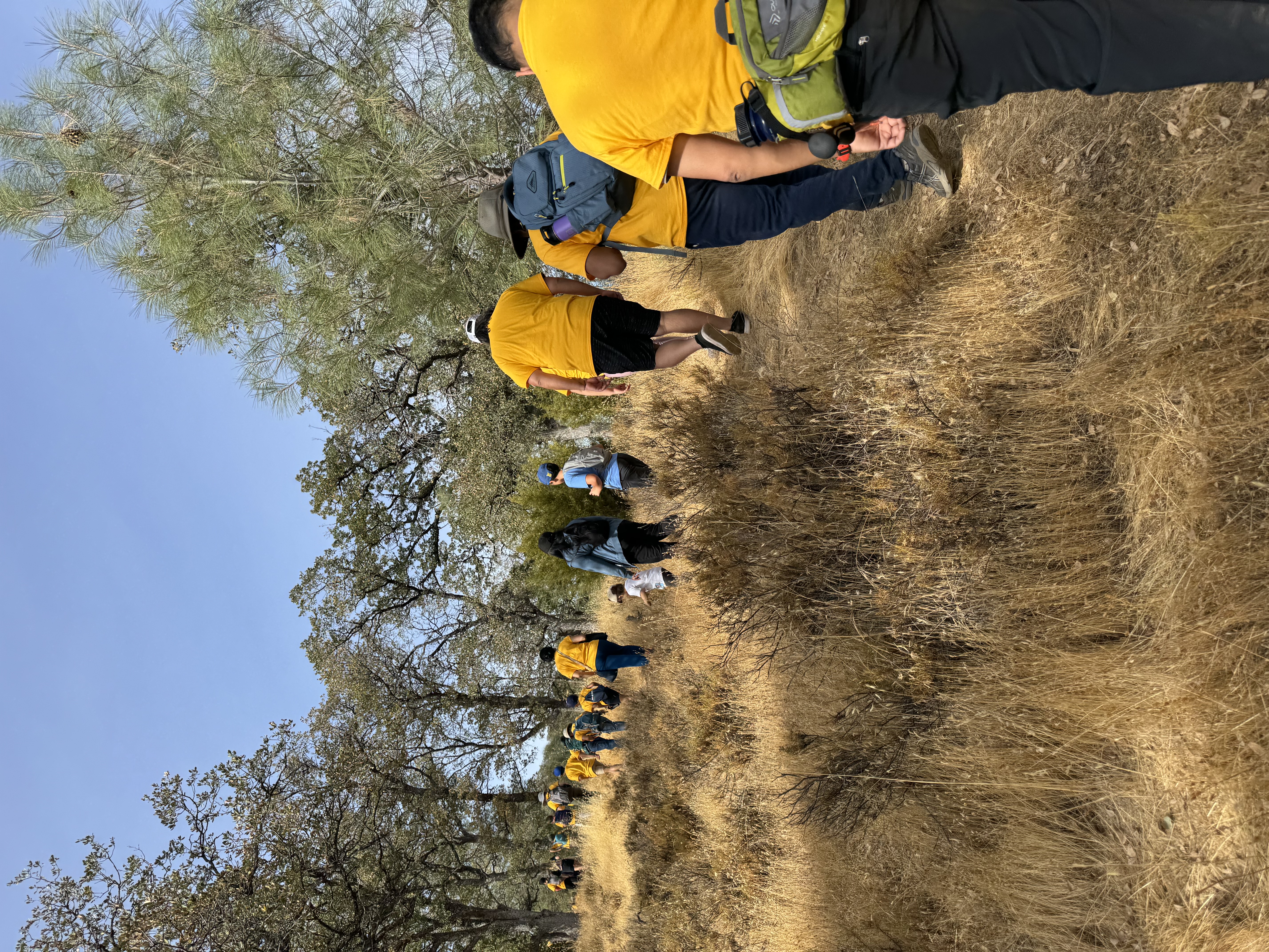 Pack 32's Scouting Activities