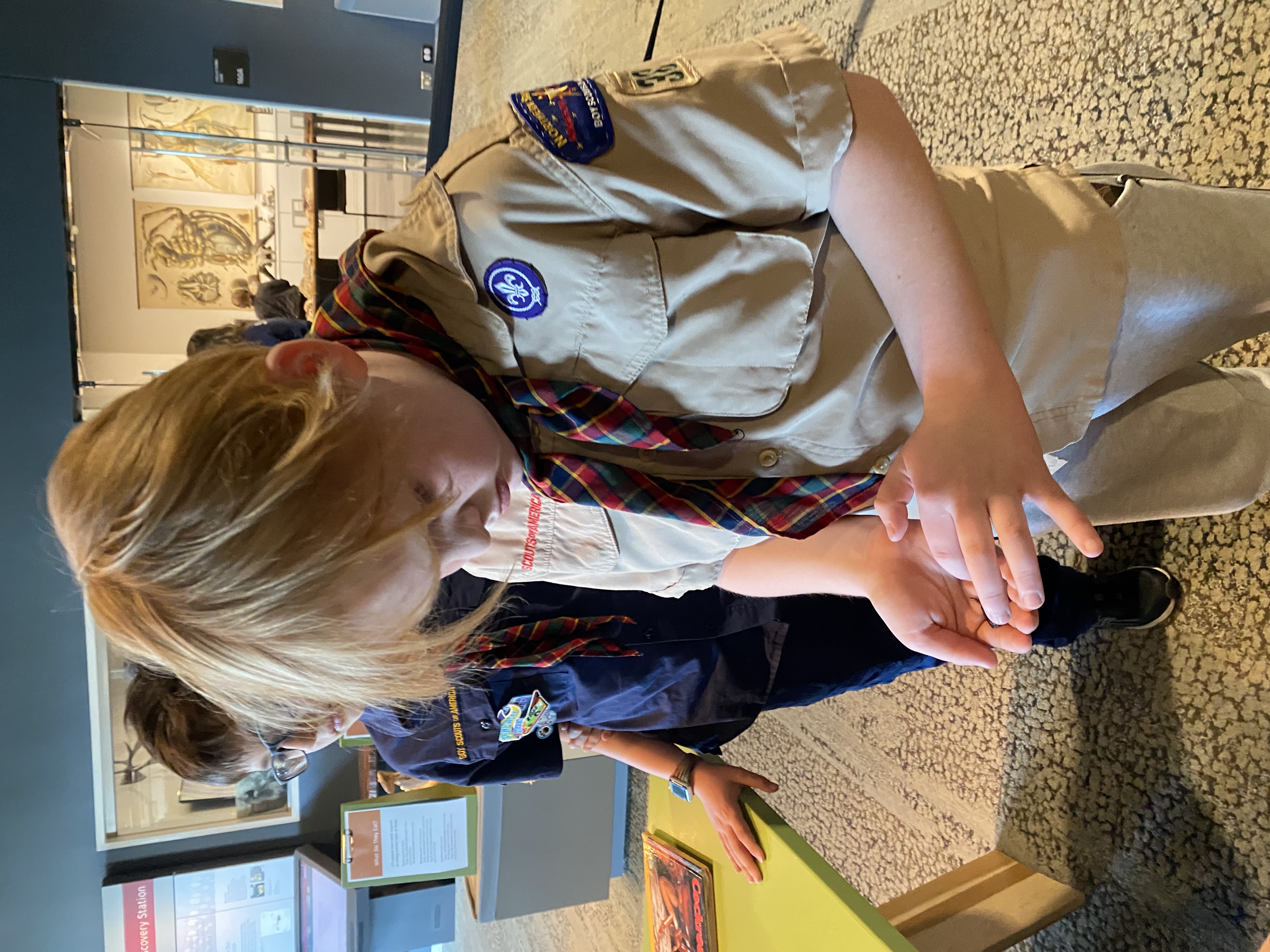 Theodore's Scouting Activities