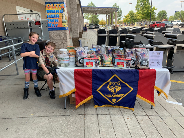 Adam's Scouting Activities