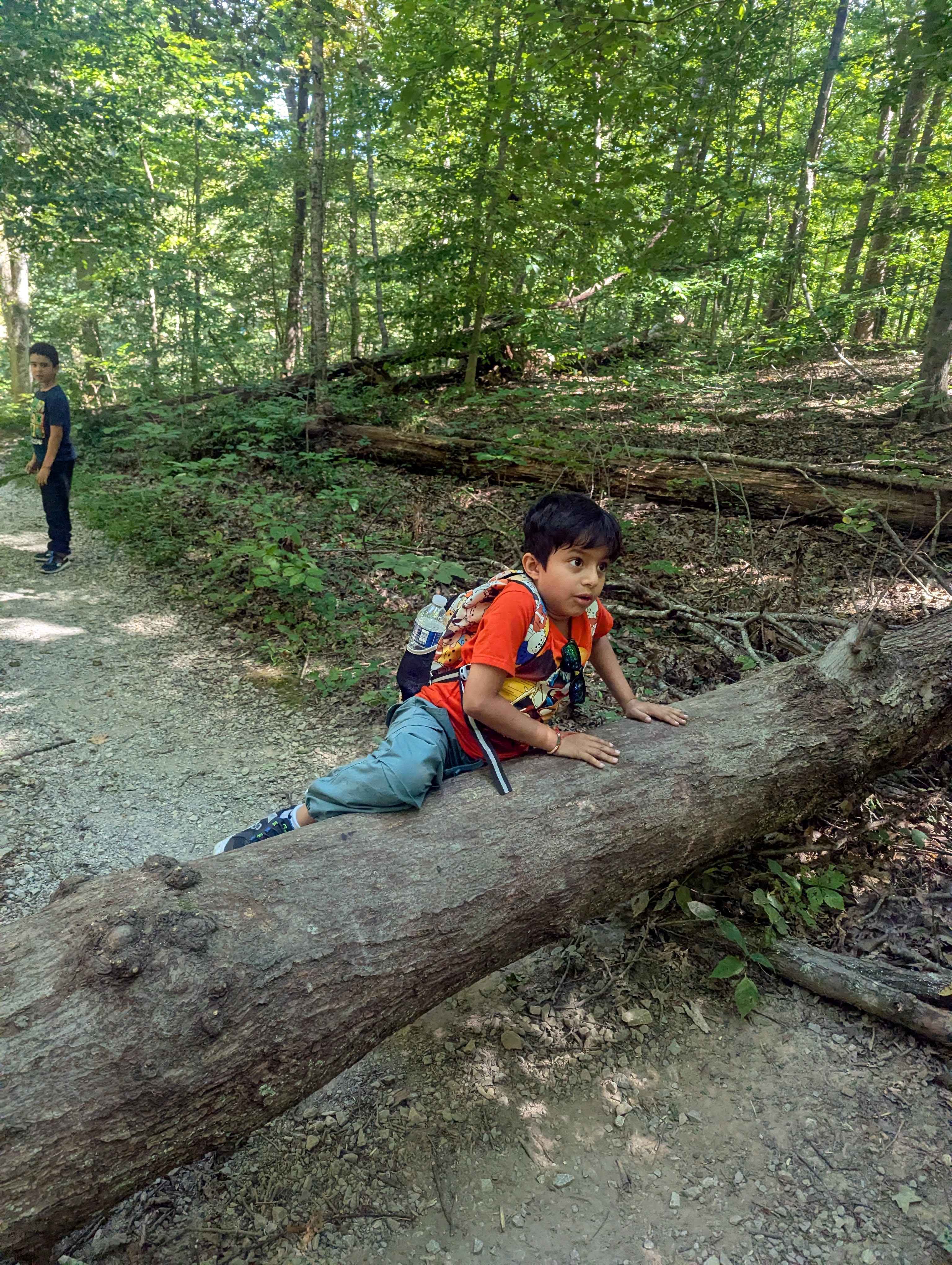 Agastya's Scouting Activities