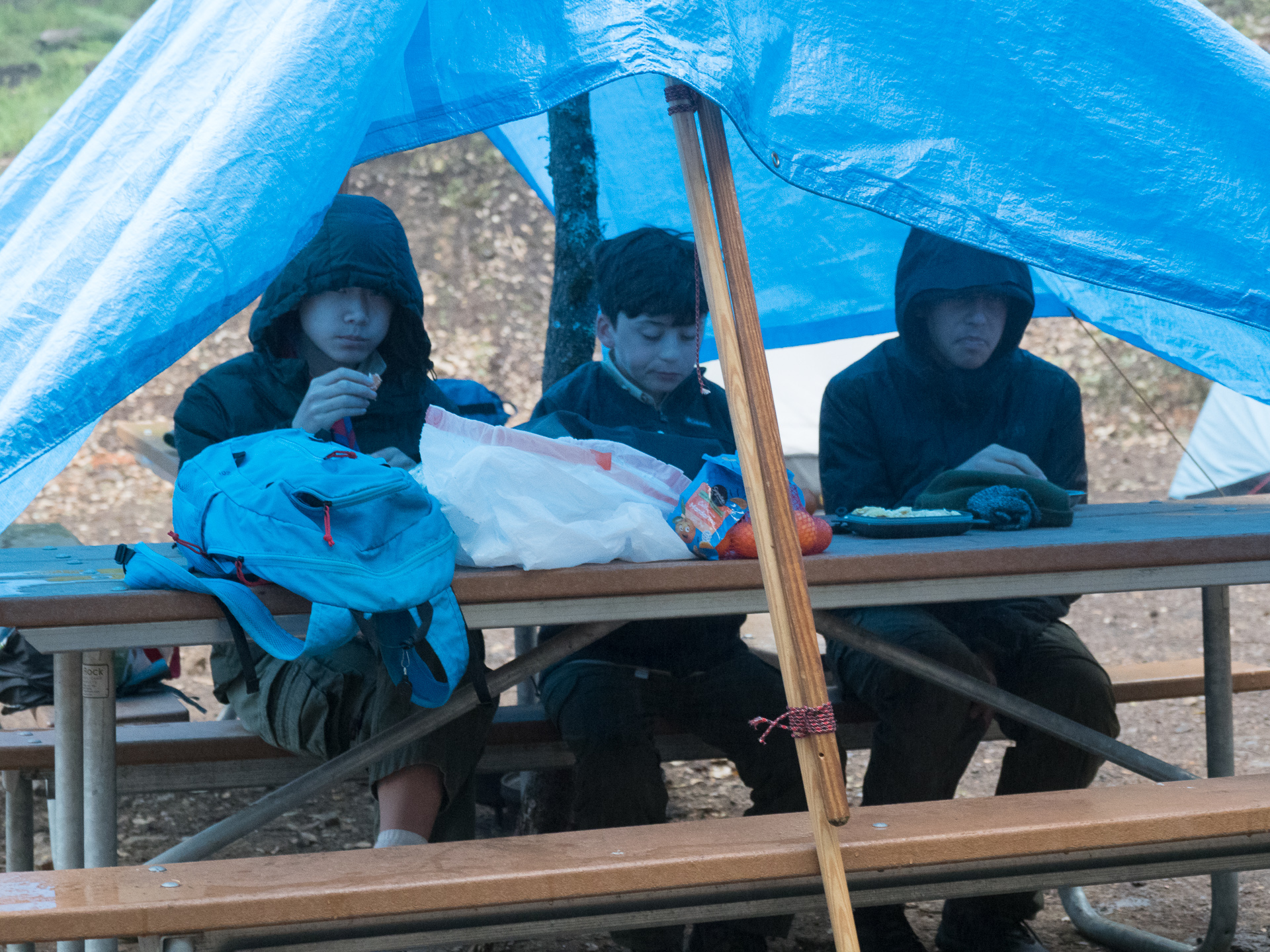 Calvin's Scouting Activities