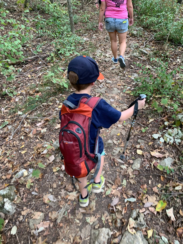 Adam's Scouting Activities