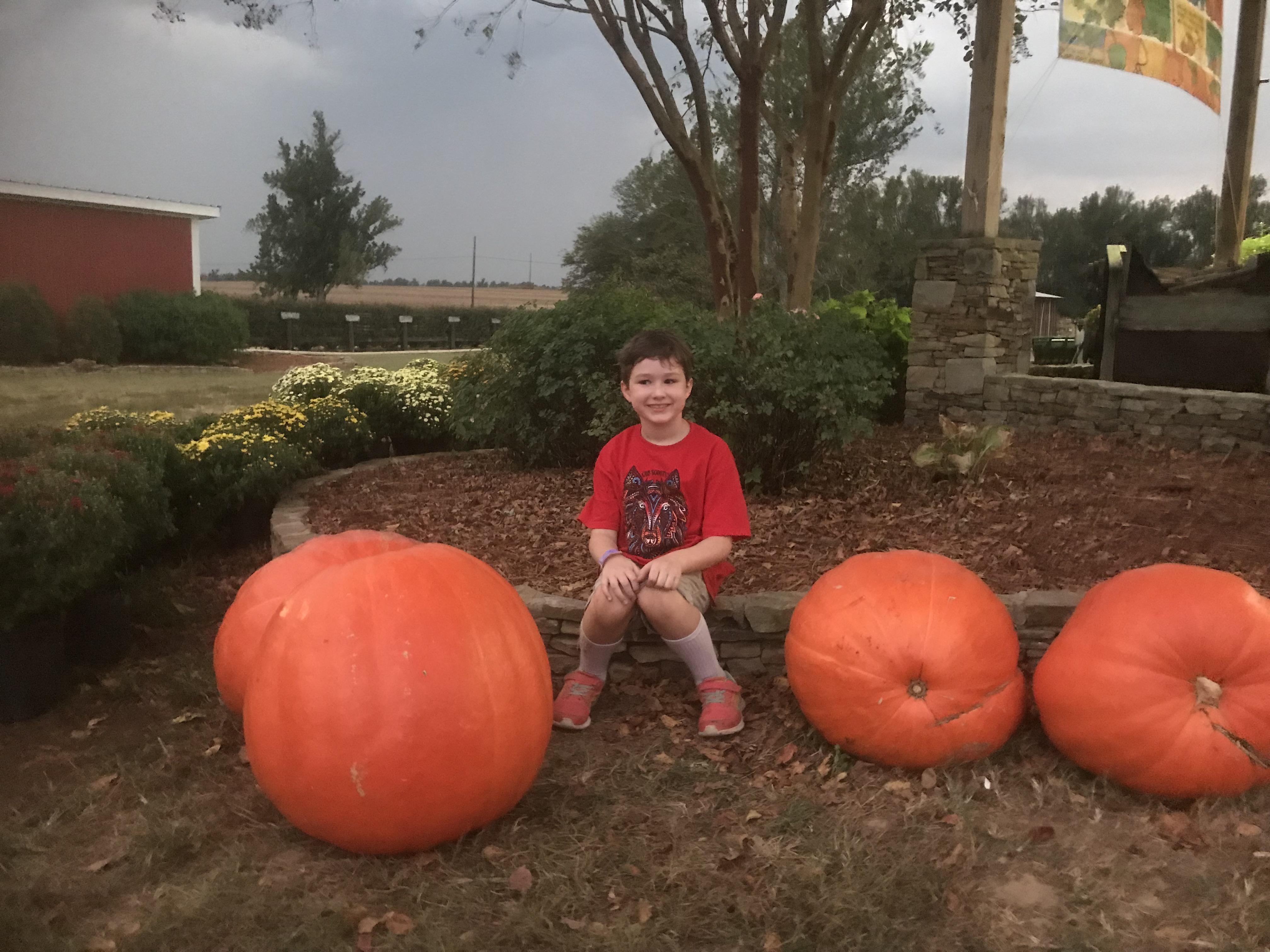 Max's Scouting Activities