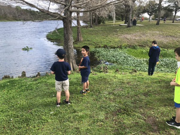 JD and Patrick's Scouting Activities