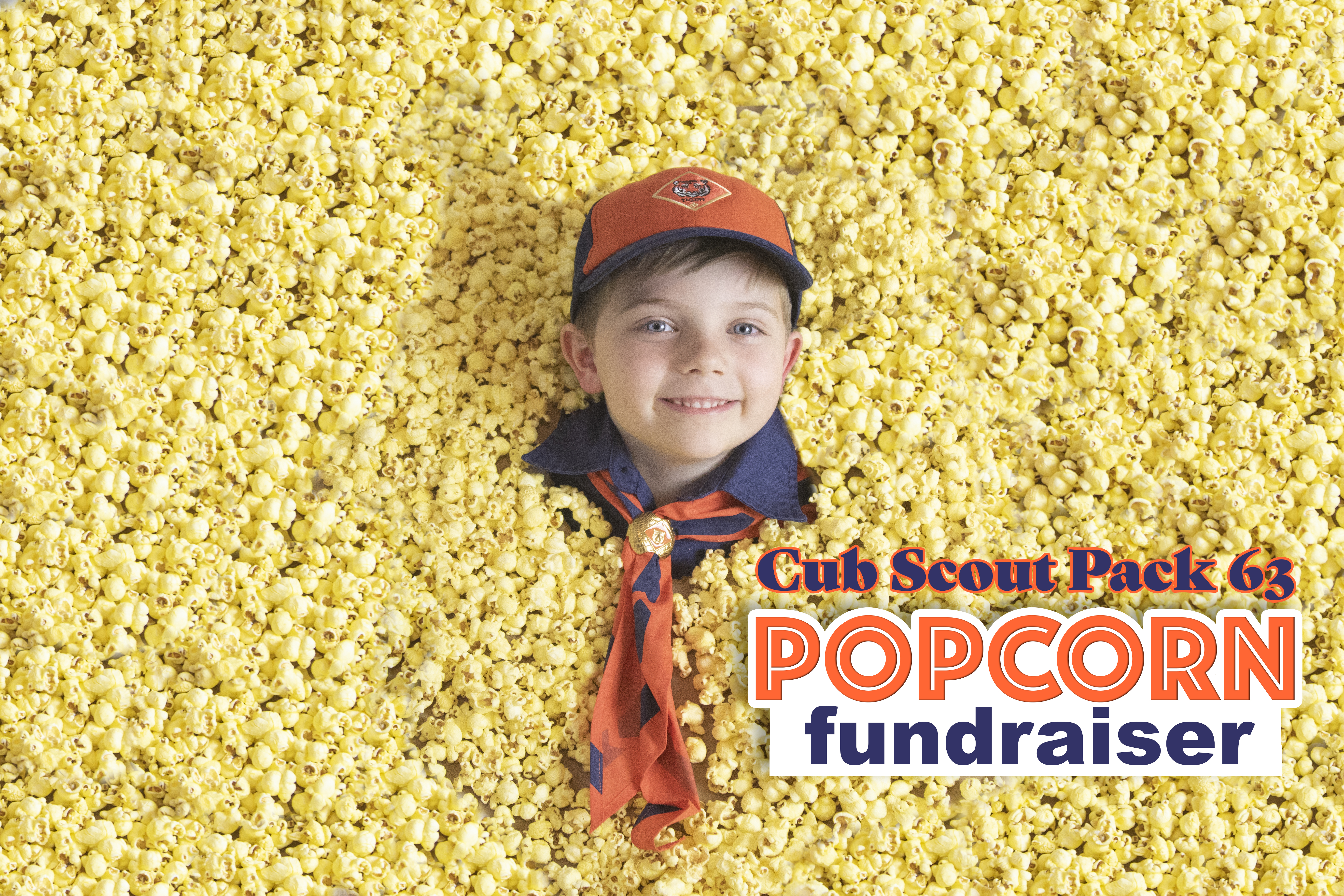 Lincoln's Scouting Activities