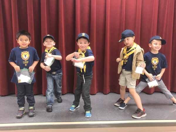 JD and Patrick's Scouting Activities