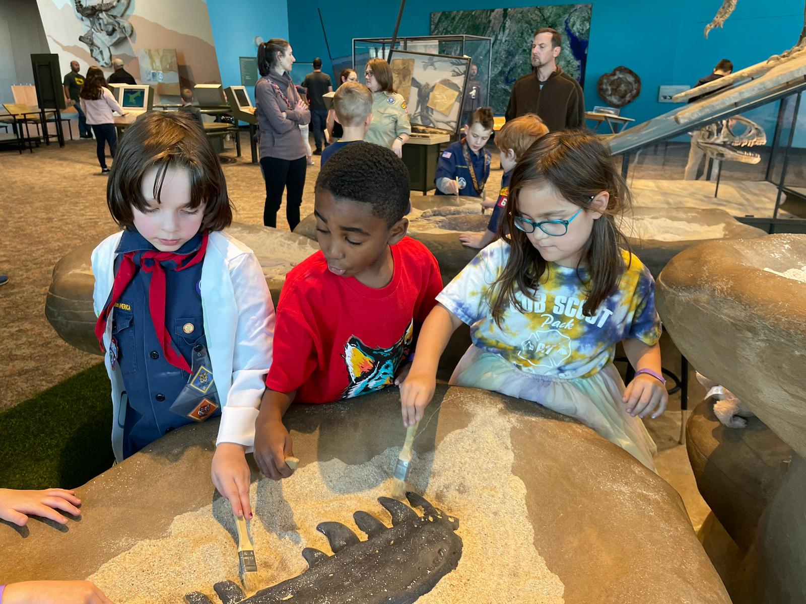 Lucie's Scouting Activities