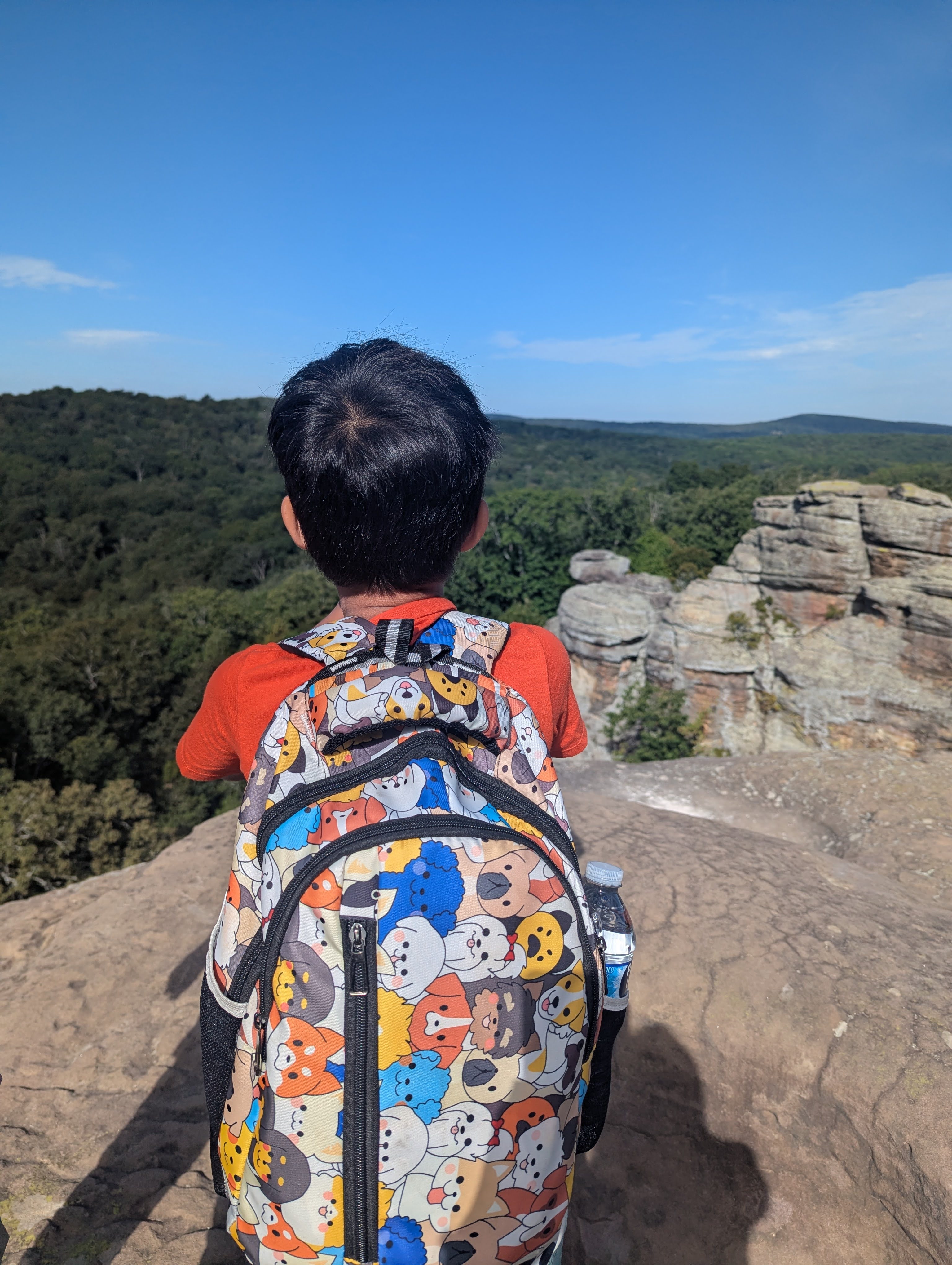 Agastya's Scouting Activities