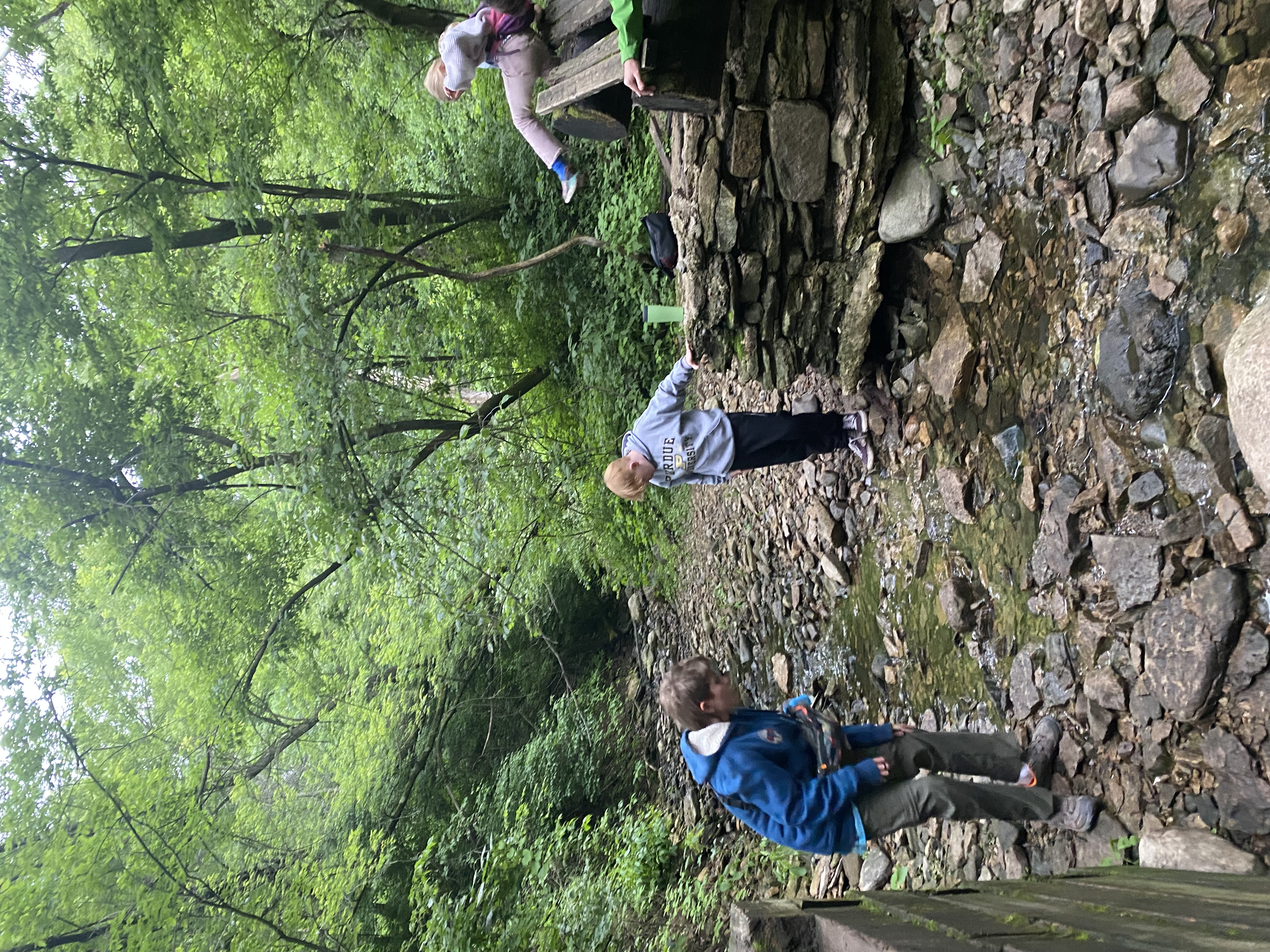 Theodore's Scouting Activities