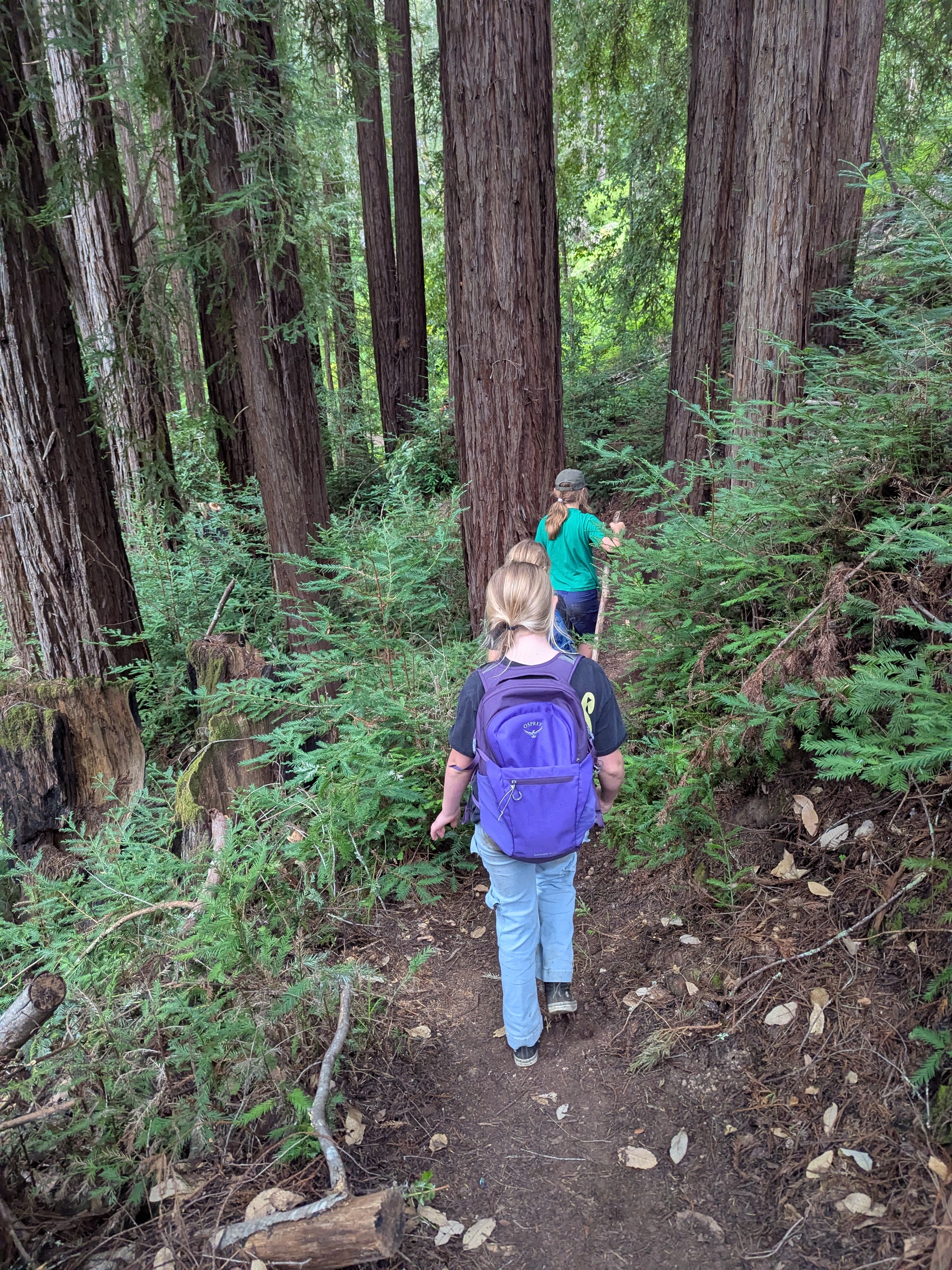 Pack 32's Scouting Activities