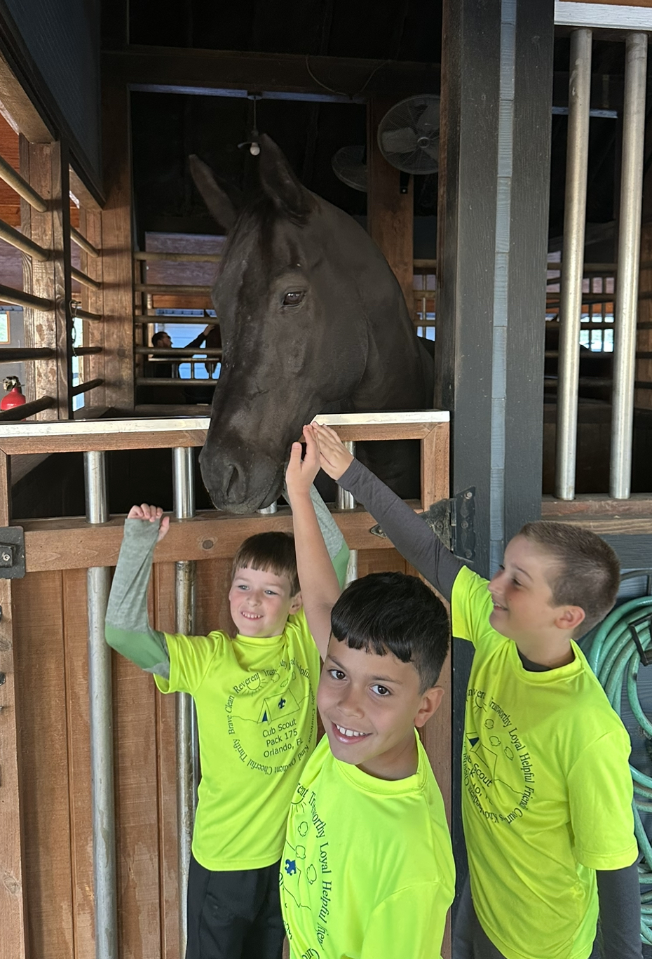 JD and Patrick's Scouting Activities