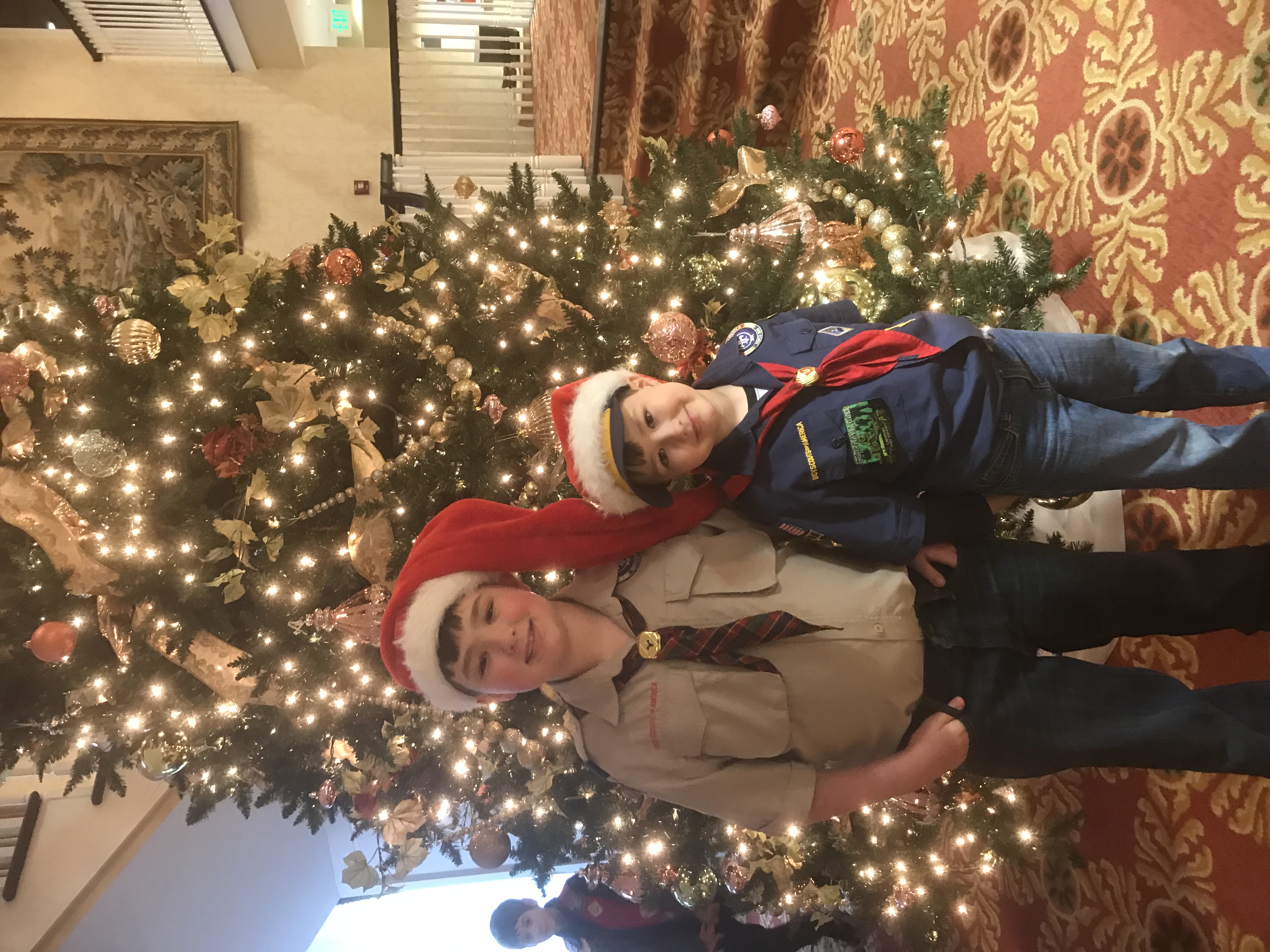 Max's Scouting Activities