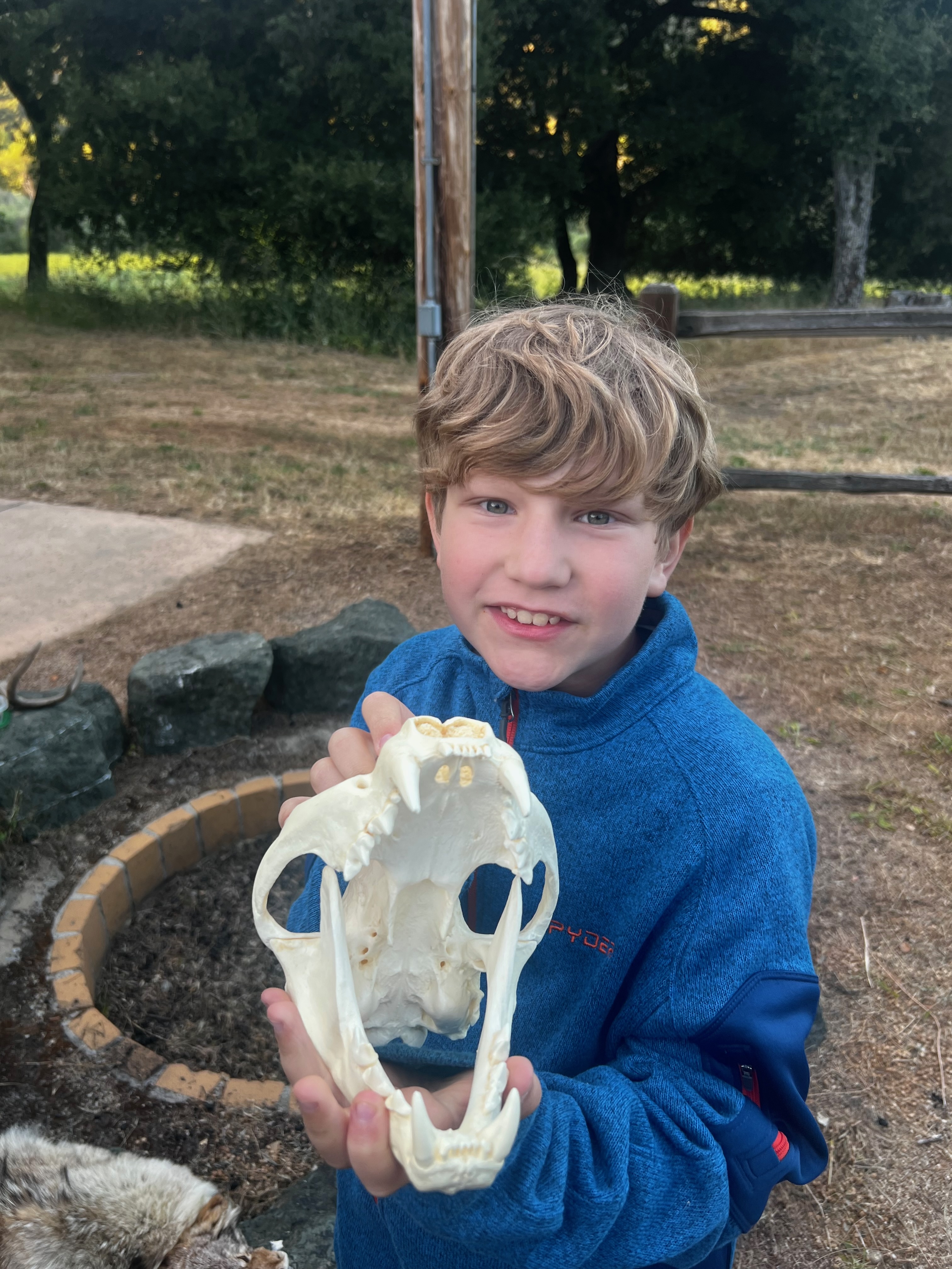 Felix's Scouting Activities