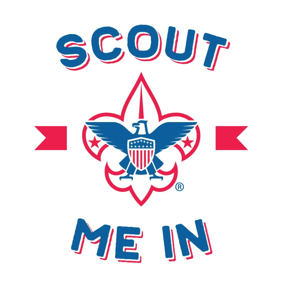 Cub Scouts P.