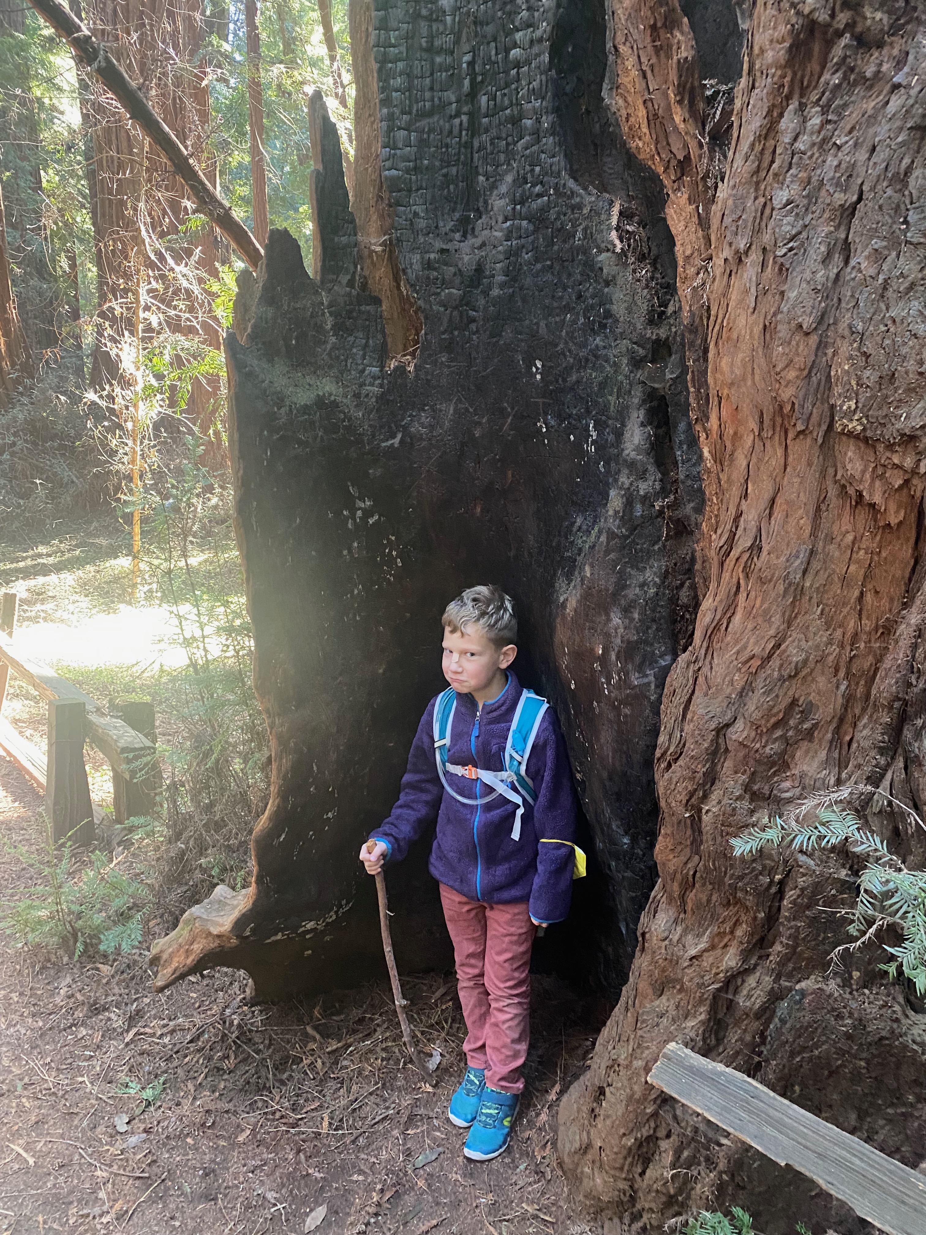 Felix's Scouting Activities