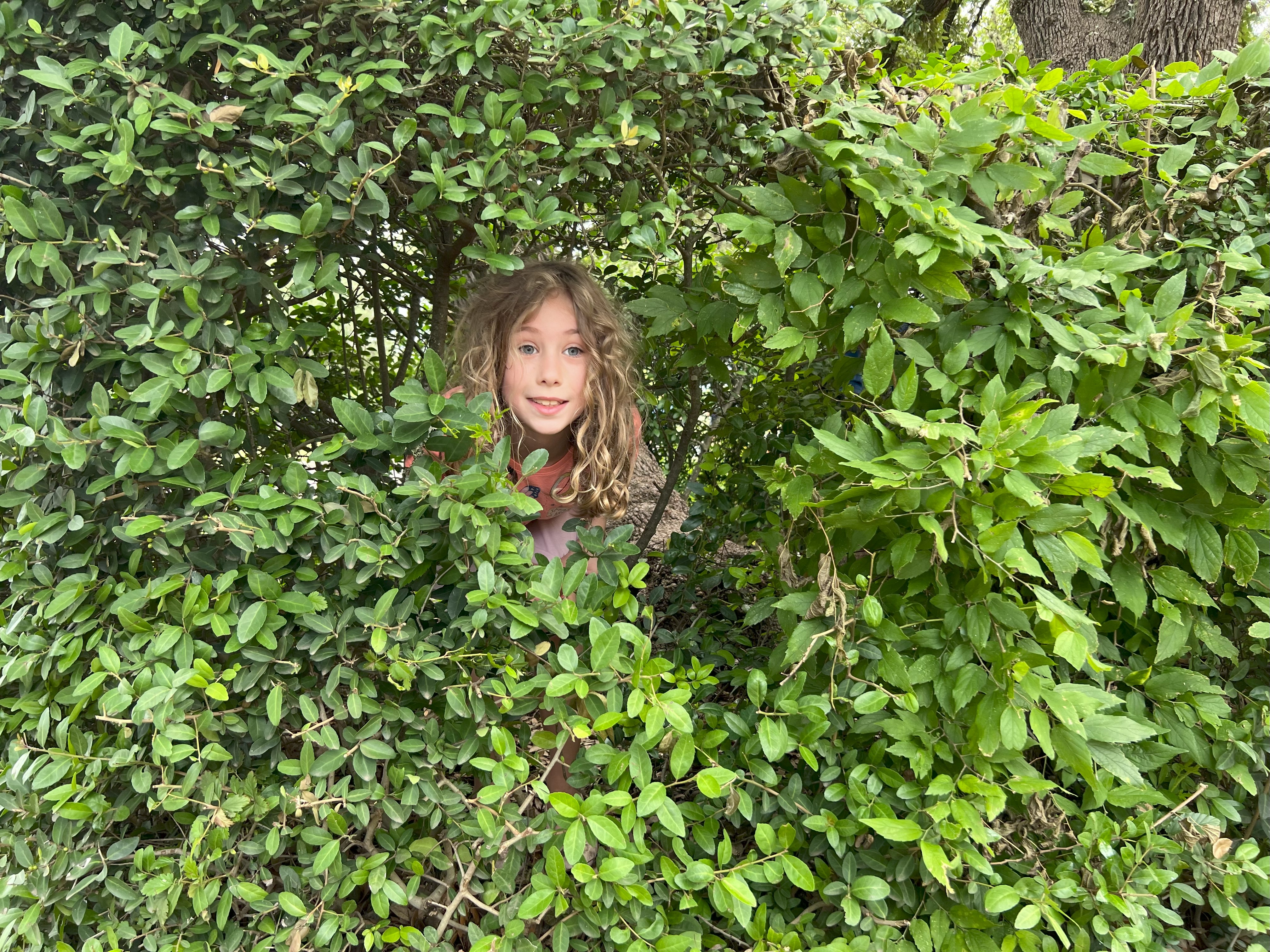 Eliana's Scouting Activities