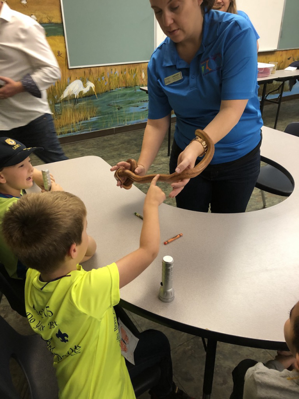 JD and Patrick's Scouting Activities